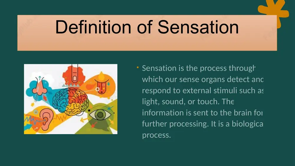 sensation and perception in psychology - Page 4