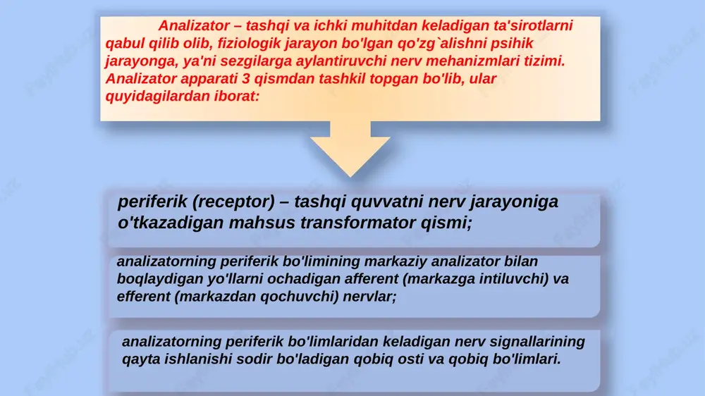 sezgilar haqida umumiy tushuncha - Page 4