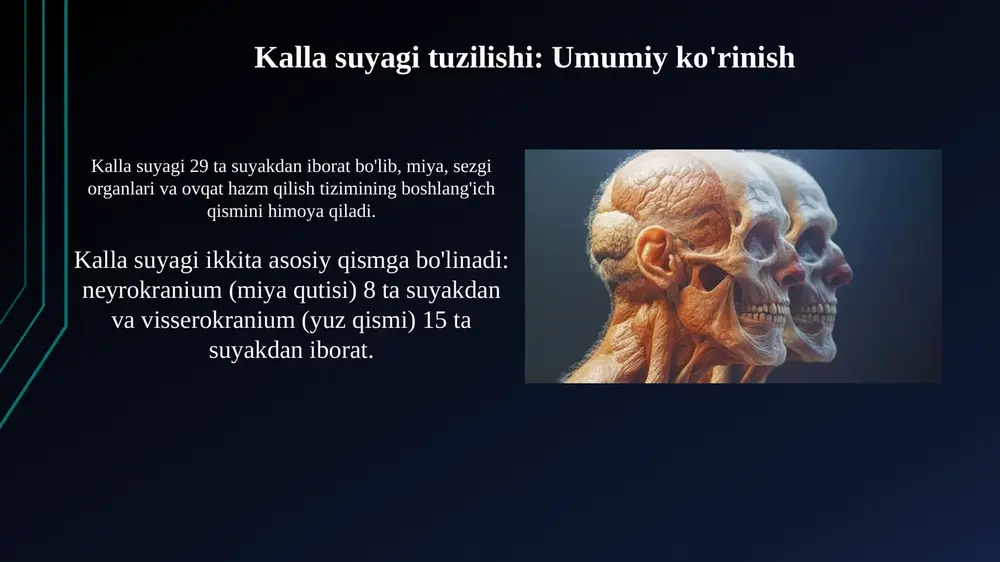zgarishlar keksalarda frontal suyagi sinishlari ko'proq uchraydi, bu suyakning zichligi kamayishi (osteoporoz) bilan bog'liq, natijada 65 yoshdan oshganlarda jiddiy shikastlanish ehtimoli ortadi. parietal suyakning yupqalashishi 70 yoshdan keyin sezilarli bo'ladi, bu esa miya jarohatlariga moyillikni oshiradi; masalan, yiqilish natijasida subdural gematoma paydo bo'lish xavfi ortadi. xulosa yuz suyaklarining o'zgarishi 50 yoshdan keyin tezlashadi, bu esa tishlarning yo'qolishi va jag'ning rezorbsiyasi tufayli yuzning qisqarishiga olib keladi. kallaning suyaklari, masalan, peshona suyagi, yosh o'tishi bilan suyak moddasining zichligini yo'qotadi, bu esa sinish xavfini oshiradi, ayniqsa 70 yoshdan keyin. e'tiboringiz uchun rahmat image2.jpg image3.jpg image4.jpg image5.jpg image6.jpg image7.jpg image8.jpg image9.jpg image10.jpg image11.jpg image12.jpg image13.jpg image14.jpg image15.jpg image16.jpg image17.jpg image18.jpg