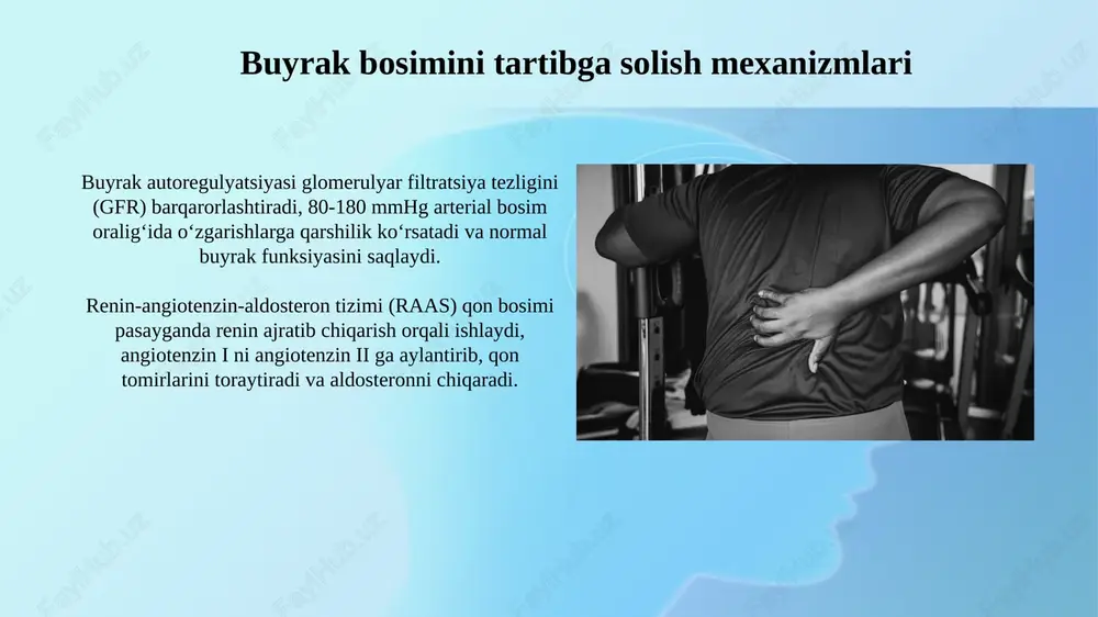 "buyraklar bosimi" fiziologiyasi - Page 4