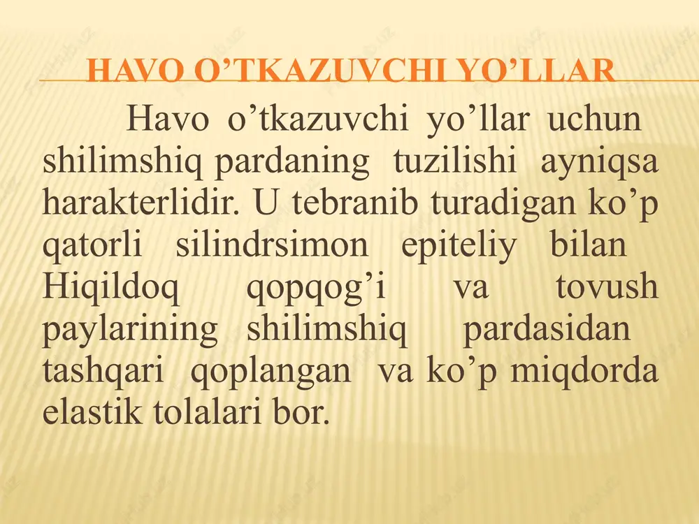 ovush hosil bo’ladi. traxeya traxeya ya'ni nafas olish tomog’i, hiqildoq halqasimon tog’ayidan pastda joylashgan.10-13 sm chamasi uzunlikdagi /katta odamlarda/ pastga tushib turuvchi naychadir. traxeya gialin tog’ayning 16-20 yarim halqalaridan hosil bo’lgan, u halqalarning birinchisi. halqasimon tog’ay bilan traxeya o’rtasidagi pay yordamida halqasimon tog’ayga birikkan, traxeyaning yarim halqalari zich tolali biriktiruvchi to’qima bilan birikkan. orqa tomonda yarim halqalarining uchi o’rtasida silliq musqul tolalari bo’lgan biriktiruvchi to’qimali parda membrana bor. shunday qilib traxeyaning oldingi va yon tomonlari tog’aydan, orqa tomon esa biriktiruvchi to’qimadan tuzilgan. traxeya /trachea/. traxeyaning ustki uchi bo’yinning vi-vii umurtqalari sathida, pastki uchi ko’krak bo’shlig’ida, ko’krakning iv-y umurtqalari sathida joylashgan. traxeya pastda ikkita asosiy ya'ni birlamchi bronxyalaga bo’linadi: bu traxeyaning bufurkatsiyasi deb ataladi. traxeya tananing o’rta chizig’i bo’ylab joylashgan. uning bo’yin qismi oldingi tomondan qalqonsimon bezning bo’yni bilan yon tomondan uning pallalari bilan oldingi yon tomonlaridan esa bulardan tashqari to’sh bilan til osti suyagi o’rtasida joylashgan musqullari bilan yopilib turadi. …