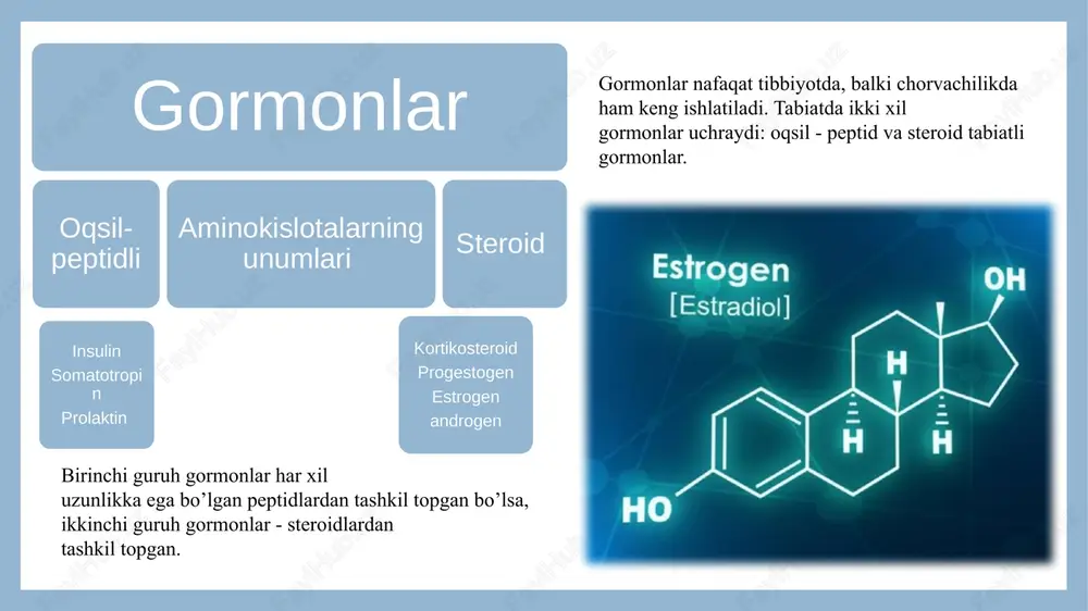 n– antigiotezin–aldosterol va qon bosimining oshishini ta’minlaydi. ko’pincha qanday sharoitda gormonlardan foydalaniladi?: 1. avloddan-avlodga o’tadigan ba’zi-bir nuqsonlarni (qand kasalligi, past bo’ylik, jinsiy sustlik va x.q.) to’ldirish uchun yoki hayot davomida kelib chiqadigan kasalliklarni davolash uchun. 2. garmonlar tomonidan boshqarilib turiladigan jarayonlarni yanada jadallashtirish uchun (ko’p nasllilikni jadallashtirish va x.k.). steroid gormonlar vakillari tibbiy amaliyotda steroid gormonlar-yallig'lanishga qarshi diuretik, anabolik, kontratseptiv, saratonga qarshi va boshqa dorilar vositasi sifatida ishlatiladi . kortikosteroid progestogen estrogen estrogen steroid gormonlarni biotexnologik ishlab chiqarish asosi maxsus mikrobiologik biotransformatsiya usullari (biokonversiya)hisoblanadi. mikrobiologik transformatsiyaning asosiy jarayonlari: oksidlanish tiklanish dekarboksillanish dezaminlanish gidroliz metillanish kondensatsiya izomerlanish mikrobiologik transformatsiya haqida umumiy tushunchalar. steroidlarni mikrobiologik transformatsiyasi mikroorganizmlardan sintetik reaksiyalar uchun foydalanishni shartli ravishda ikkita yo‘nalishga ajratish mumkin: – ma’lum komponentlardan tashkil topgan oziqa muhitida mikro- organizmlar hujayralari tomonidan muhim biologik faol moddalar va mahsulotlar (antibiotiklar, fermentlar, vitaminlar, sterinlar, aminokis- lotalar va boshqalar) ni biosintezini to‘liq amalga oshirish; – mikrobiologik transformatsiya, ya’ni dorivor …