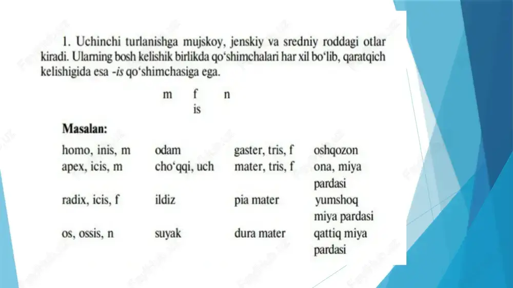 lotin tili - otning iii turlanishi uning rod belgilari va negiz xususiyati. otning iii turlanish genus masculinum. - Page 4