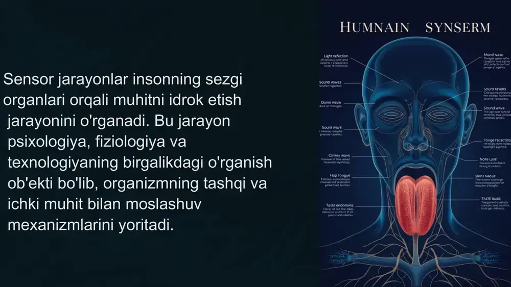 ar, suyuqliklar va qattiq jismlarlarda kuzatiladigan zarrachalarning tebranishidir. bu tebranishlar ko'rsatilgan muxitlarga to'lqin sifatida tarqaladi va organizmlaming maxsus organlariga ta'sir qilib, uni shkastlanishi mumkin bo'lgan texnik hodisalardan xabardor qiladi, bir turga va boshqa turlarga mansub xayvonlar uchun o'zaro muloqot vositasi bo'lib xizmat qiladi. sensor jarayonlarning paydo bo'lish mexanizmlari 1 reseptorlar tashqi va ichki muhitdan keladigan turli xil impulslarni qabul qiluvchi ixtisoslashgan hujayralar. 2 sensor qo'zg'alish reseptorlarning fizik yoki kimyoviy ta'sirlarga javob sifatida paydo bo'ladigan elektr impulslar. 3 asab impulslari sensor qo'zg'alishlar markaziy asab tizimiga uzatiladi va u yerda qayta ishlangan. sensor jarayonlarning sezish va qabul qilish xususiyatlari sezish tashqi muhitdan yoki organizmdan keladigan turli xil ta'sirlarga reaksiya berish qobiliyati. qabul qilish sezgi organlari tomonidan qabul qilinadigan ta'sirlarga ma'noli ma'lumotlar sifatida tushunish jarayoni. diskriminatsiya turli xil ta'sirlarni bir-biridan farqlay olish qobiliyati. adaptatsiya sezgi organlari uzluksiz ta'sirlarga moslasha olish xususiyati. sensor jarayonlarning sezuvchi organlardagi roli 1 ko'rish ko'z -- yorug'likni qabul qiluvchi, …