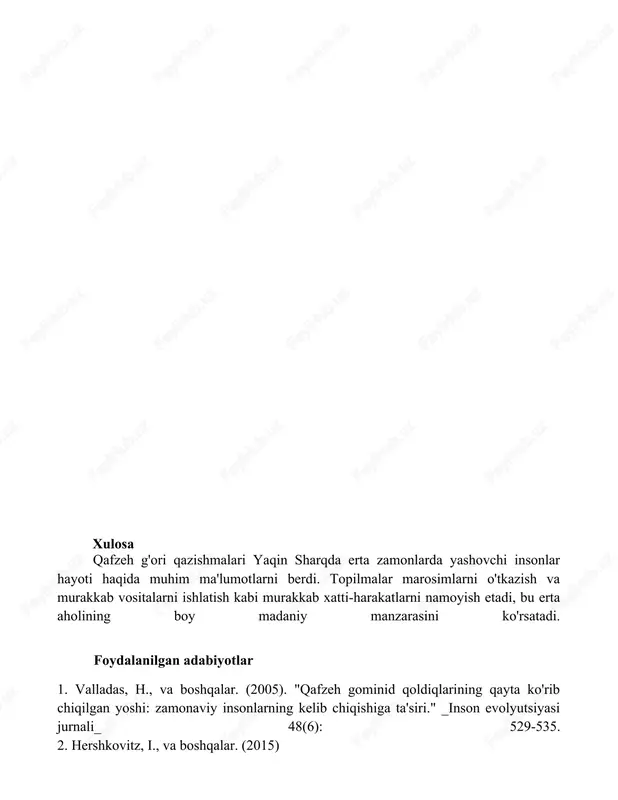 isroil hududidagi qafzeh cave g'orining o'rganilishi - Page 4