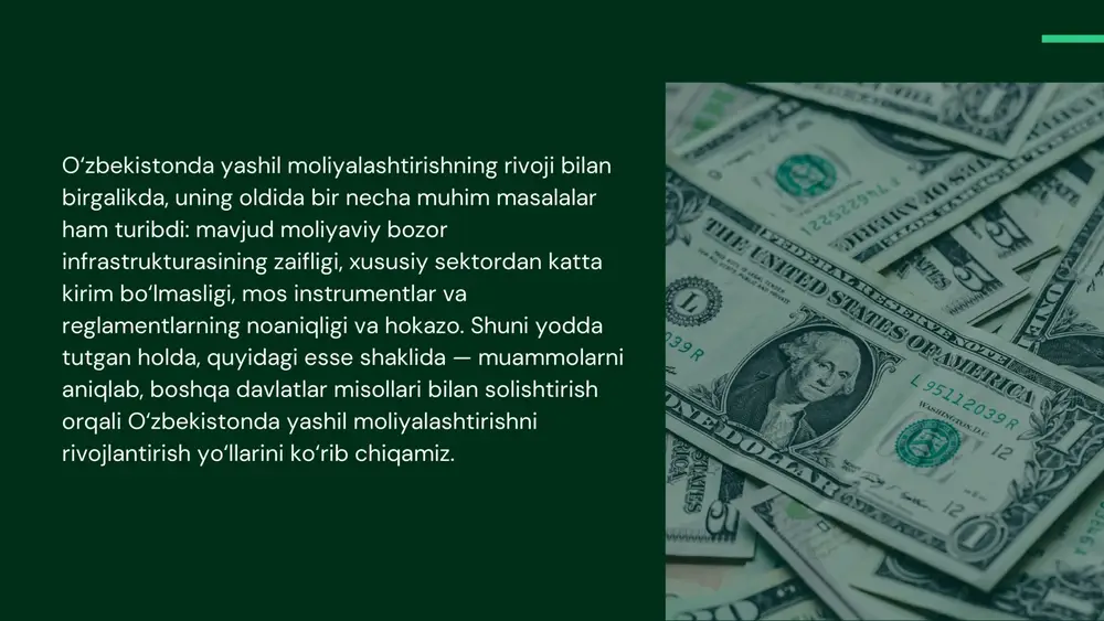 ebonds.net/news-events/press-room/press-releases/chinas-sustainable-debt-market-hits-key-milestones?utm_source=chatgpt.com masala 2: xususiy sektordan investitsiya jalb qilish va davlat mablag‘laridan mustaqil bo‘lish yashil moliyalashtirish muvaffaqiyatiga erishish uchun davlat mablag‘lari albatta muhim rol o‘ynaydi, lekin barqaror natijalar uchun xususiy sektor – banklar, korxonalar, investitsiya fondlari – faol ishtirok etishi muhim. o‘zbekistonda xususiy sektor yetarli darajada jalb qilinmayotgani, davlatning iqtisodiy jarayonlardagi katta ulushi, xususiy moliyalashtirish kanallarining kamligi muammo sifatida ko‘rilmoqda. bu masalani solishtirish uchun, hindiston misoli keltiriladi: hindistonda 2024-yil oxiriga qadar “green, social, sustainability linked (gss+)” qarz instrumentlari bo‘yicha jami ~usd 55.9 mlrd chiqarilgan. climate bonds+1 shunda, ushbu miqdorning ~83 % yashil instrumentlar (green bonds va boshqa yashil qarzlar) toifasiga kirgan. climate bonds bu – xususiy va jamoat sektori hamkorligida amalga oshirilgan natija. hindiston tajribasidan ko‘rinadiki, xususiy sektor jalb qilinsa, yashil moliyalashtirish ko‘lami tez o‘sishi mumkin. o‘zbekistonda xususiy sektorni jalb qilish uchun bir necha yo‘l taklif etiladi: birinchidan, xususiy banklarni yashil kreditlar bilan tanishtirish, ularning risklarini kamaytirish uchun davlat yoki xalqaro …