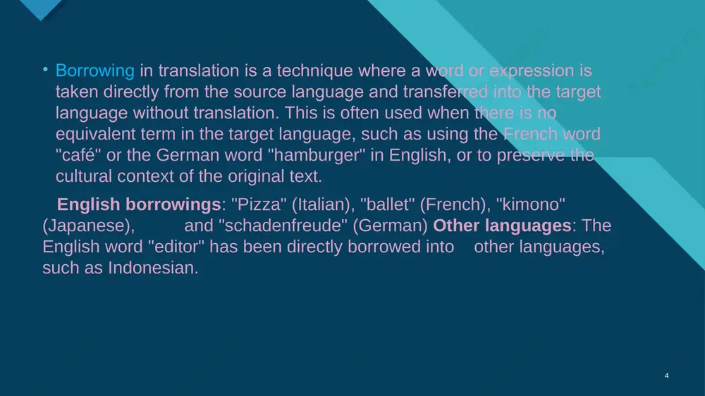 translation strategies - Page 4