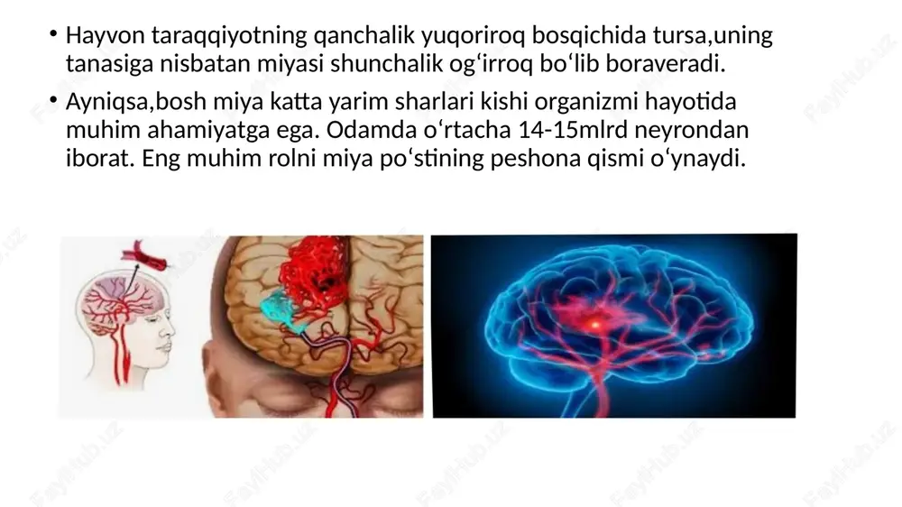 umumiy psixologiya - Page 4