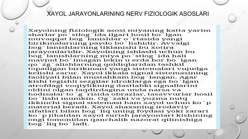 xayol - Page 4