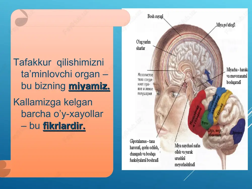 tafakkur - Page 4