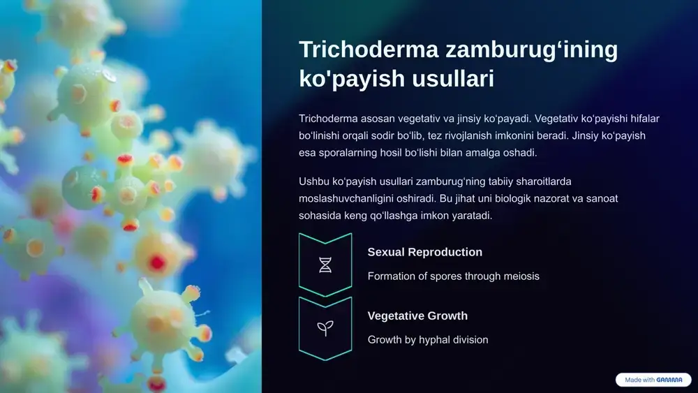 trichoderma zamburugʻining biologiyasi - Page 4