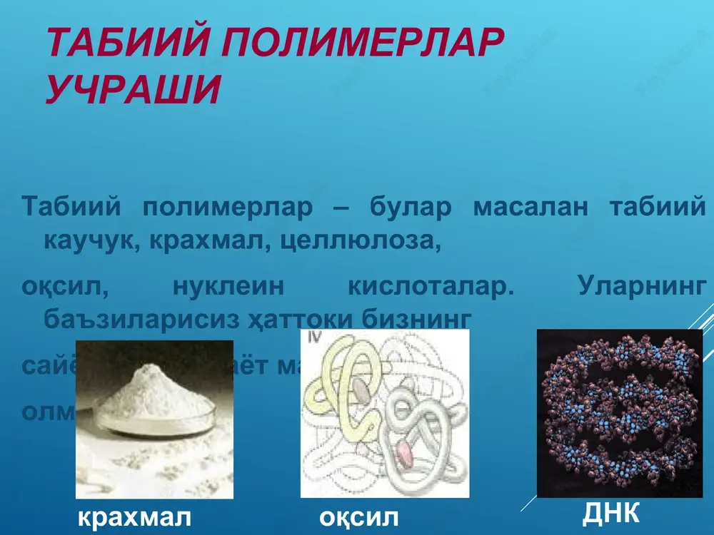 takrorlanuvchi atomlarning guruhi. polimerlanish darajasi n – polimer makromolekulasidagi struktur zvenolar soni. asosiy zanjirning tuzilishiga ko'ra polimer turli strukturalarga ega bo'lishi mumkin: chiziqli (masalan, polietilen), tarmoqlangan (kraxmal, tsellyuloza) hamda fazoviy (masalan, oqsilning ikkilamchi va uchlamchi strukturalari, nuklein kislotalar). polimerlar strukturalari chiziqli tarmoqlangan fazoviy tarmoklanish darajalari kungir suvuti polisaxaridi - laminarin galaktan ultra-tarmoklangan struktura kismi (chiganoklilarni tarkibiy kismi polisaxarid) lignin yog'li lignin polipeptid zanjiri tuzilish sxemasi: a – umumiy sxema, b – peptid zanjir va polisaxarid boglanish kismi aralash biopolimerlar oqsillar nuklein kislotalar polisaxaridlar lipidlar glikoproteinlarda amid guruxi buyicha 80-85% uglevod va 10-15 % polipeptid uzaro boglangan (massasi 1 mlnga yakin) lipopolisaxaridlarda gidroksil gurux uzaro kovalent va vodorod boglanishda xitin va xitozan xitin – n – atsetil -2 amino -2 dezoksi-d – glikopiranoz zvenolaridan iborat chiziqli polisaxarid xom ashyo unumi xitin xitozan kiskichbaka yurgich kismlari 33 28 kuruk karapaks kismidagi 20 16 kiskichbaka etli kismi 25 20 kiskichbaka uni 16 12 …