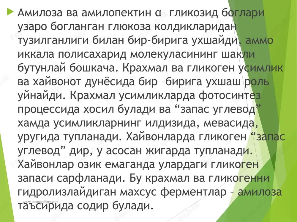ab chikarishda juda kup kraxmal ishlatiladi. kimyo laboratoriyalarida kraxmal xajmiy mikdor analizida yodometrik metodda indikator sifatida ishlatiladi. bu maksadlarda yaxshisi tozalangan amiloza ishlatish kerak; amiloza eritmalari kuyuklashmaydi, balki yod bilan juda sezgir rang xosil kiladi. www.themegallery.com www.themegallery.com turli amiloza deb ataluvchi glikolizidaza fermenti ta'sirida enzimatik gidroliz kilinganda, asosan, disaxarid maltoza xosil buladi: maltoza 1→4 bog bilan birikkan α – glyukozil glyukoza bulganida amilozada xam shunday boglar birligining kabul kilinishi tabiiy edi: bu xulosa xevorts tomonidan oligosaxarid va polisaxaridlar strukturasi aniklash uchun taklif kilingan metillash usuli bilan tula tasdiklangan. bu usul uglevodlarni dimetilsulfat (sn3)2so4 bilan ishlab, xosil bulgan metillangan maxsulotni gidrolizlash va ularning strukturasi aniklashdan iborat. metil gruppa fakat erkin gidroksil bilan efir bogi (-sn3) shaklida birikkanidan paydo bulgan xosilada –sn3 soni va ularning urni uglevoddagi erkin gidroksil gruppalarga muvofik keladi. www.themegallery.com www.themegallery.com amiloza shu yul bilan ishlanganda, asosan, 2,3,6 – trimetilglyukoza va ozrok mikdor (barcha maxsulotning, taxminan, 0,5 foizi) 2,3,4,6 …
