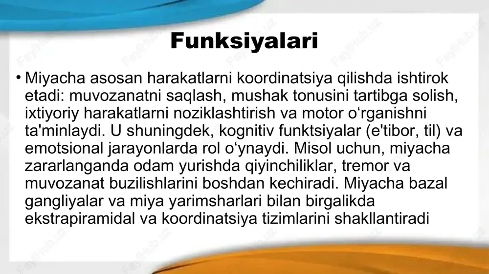 inson koordinatsion va ekstrapiramidal tizimi - Page 4