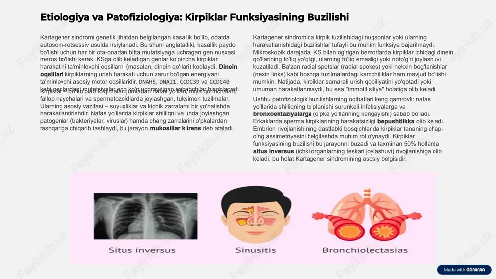 siyalar va yallig'lanishlar natijasida kelib chiqadi. kirpiklar disfunksiyasi tufayli shilliqning o'pkalardan chiqarilishi buziladi, bu esa bakteriyalarning o'pka ichida ko'payishi va infeksiyalarni keltirib chiqarishiga sharoit yaratadi. natijada, bronx devorlari shikastlanadi, kengayadi va bu holat infeksiyalar uchun yanada qulay joyga aylanadi. bolalarda surunkali, mahsuldor yo'tal (ko'pincha shilliq ajralishi bilan), takroriy pnevmoniya epizodlari va nafas qisilishi kuzatiladi. bronxoektaziya o'pka funksiyasining progressiv yomonlashishiga olib kelishi mumkin, shuning uchun erta davolash juda muhimdir.ushbu uchlikning har biri o'ziga xos klinik ahamiyatga ega bo'lib, ularning birgalikdagi mavjudligi kartagener sindromining tashxisini tasdiqlashda yordam beradi. pediatrlar ushbu belgilarga alohida e'tibor berishlari va agar bola takroriy nafas olish yoki quloq-burun-tomoq infeksiyalari bilan birga situs inversusga ega bo'lsa, ksga shubha qilishlari zarur. erta tashxis qo'yish kasallikning progressiv rivojlanishini sekinlashtirish va o'pka hamda boshqa organlarning uzoq muddatli shikastlanishini kamaytirish uchun kalit hisoblanadi. nafas yo'llari tizimining shikastlanishi kartagener sindromi bilan og'rigan bolalarda nafas yo'llari tizimi kasallikning eng og'ir va doimiy ta'sir ko'rsatadigan qismi …