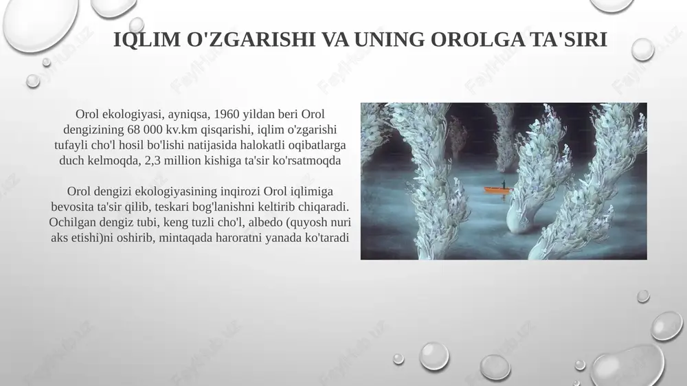 hoʻrlanish tufayli halofitlar ustunlik qiladi; aral dengizi chekinayotgan qirgʻogʻi yaqinida tamarisk va haloxylon butalari koʻp uchraydi. orol dengizi ekosistemining buzilishi baliq zahirasini 90% ga kamaytirdi; qolgan suv juda shoʻr (100+ g/l); orol atrofidagi qishloq xoʻjaligi amaliyoti yerlarning degradasiyasini kuchaytirdi va amudaryo deltasiga yaqin 50 dan ortiq qishloqqa ta'sir ko'rsatdi. orol bo'yicha muhofaza ishlari orol shahrini aral dengizi ekologik falokati bevosita tahdid qilmoqda. shoʻrlanish 80% dehqonchilik yerlariga taʼsir qilib, bugʻdoy va paxta hosilini mos ravishda 40% va 30% ga kamaytirmoqda amudaryo daryosi ekosistemini tiklashga suvni boshqarish strategiyasi va 1500 km² maydonni egallagan 5 ta qo`riqxona hududida mahalliy o`simlik turlarini qaytadan joylashtirish yo`naltirilgan orol ekologiyasiga sug'orishning ta'siri orol dengizi (68 000 km²) 1960 yildan beri 70% suv yo'qotish hisobiga qisqarib, amudaryo va sirdaryo daryolari ekosistemalariga, baliq (osetra, sazan) va qush (pelik, flamingo) populyatsiyalariga zarar yetkazdi, chunki sho'rlanish ortdi va suv hajmi kamaydi. ekologik oqibatlar: bioxilma-xillik yo'qolishi (40 endemik tur), qurigan dengiz tubidan …