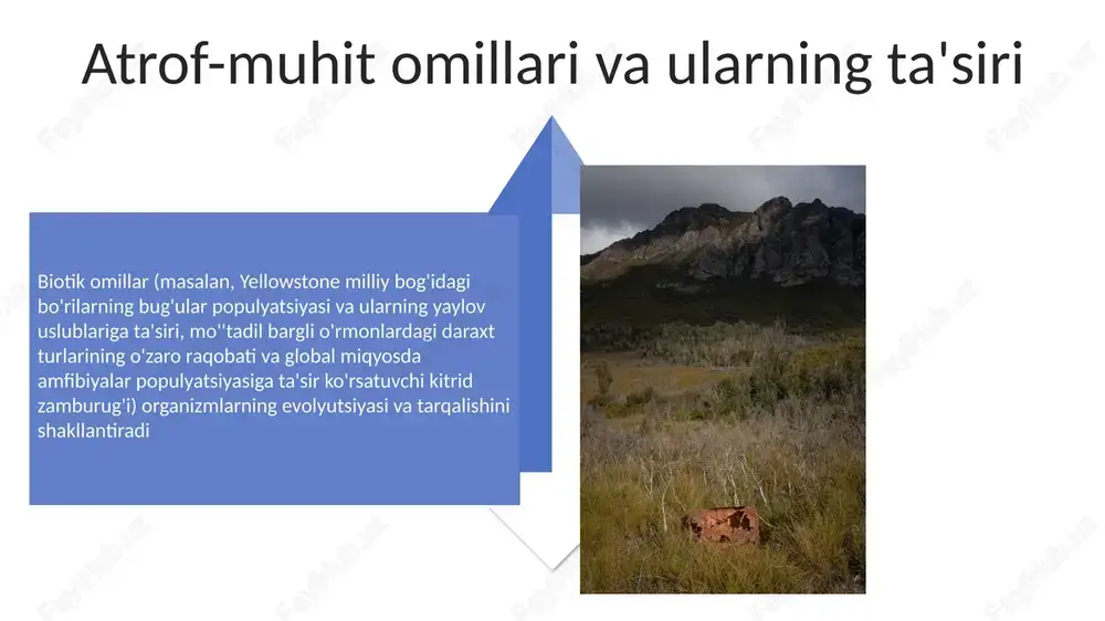 muhit va ekologik omillar - Page 4