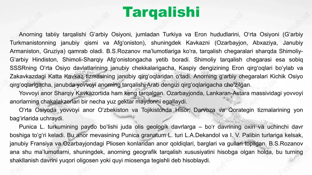 anor - Page 4