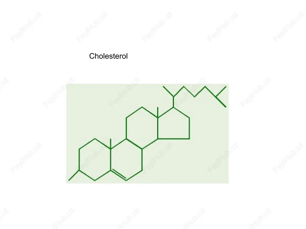 ng image13.png image14.png image15.jpeg image16.jpeg image17.jpeg image18.jpeg image19.jpeg /docprops/thumbnail.jpeg