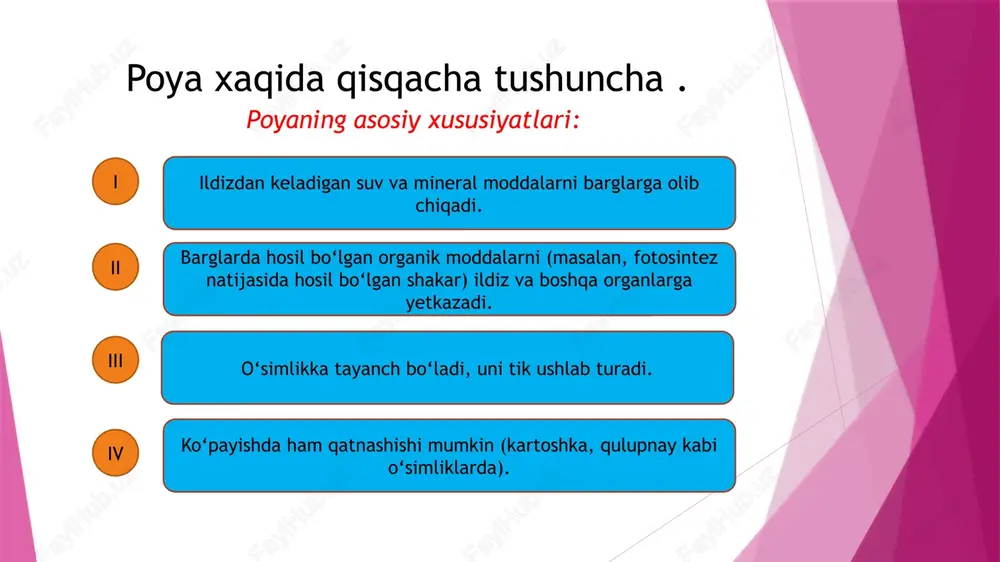 poyalarning xilma xilligi - Page 4