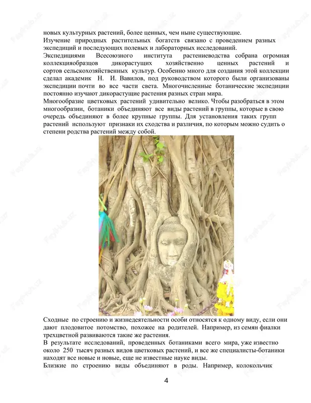 tushie travi, lomayut derevya i kustarniki, rubyat derevya v lesax, zabivaya o tom, chto pogubit rastenie nedolgo, a virastit ego — delo mnogix let. nekotorie shkolniki neakkuratno obrashayutsya s uchebnikami, rvut ix, pachkayut, ne zabotyas o tom, chto po etim knigam na sleduyushiy god budut uchitsya ix mladshie tovarishi. bumagu dlya uchebnikov delayut iz drevesini. chtobi izgotovit 60 kg bumagi, prixoditsya srubit vzrosloe derevo. sberegaya bumagu i sobiraya makulaturu, mi soxranyaem lesa. neobxodimo berech i oxranyat zelenie rasteniya v prirode i v iskusstvennix nasajdeniyax, ozelenyat goroda i sela i uxajivat za lesnimi posadkami blijayshego lesnichestva. delenie tsvetkovix rasteniy na gruppi kak razlichni temniy lipoviy les i veselaya berezovaya rosha! kak silno otlichayutsya rasteniya tsvetushego zelenogo luga ot rasteniy znoynix peschanix pustin, bolotistix tundr i vlajnix subtropikov chernomorskogo poberejya kavkaza! no kak bi ni razlichalis tsvetkovie rasteniya, vse oni imeyut ogromnoe znachenie v prirode i jizni cheloveka. vi znaete, chto rasteniya …