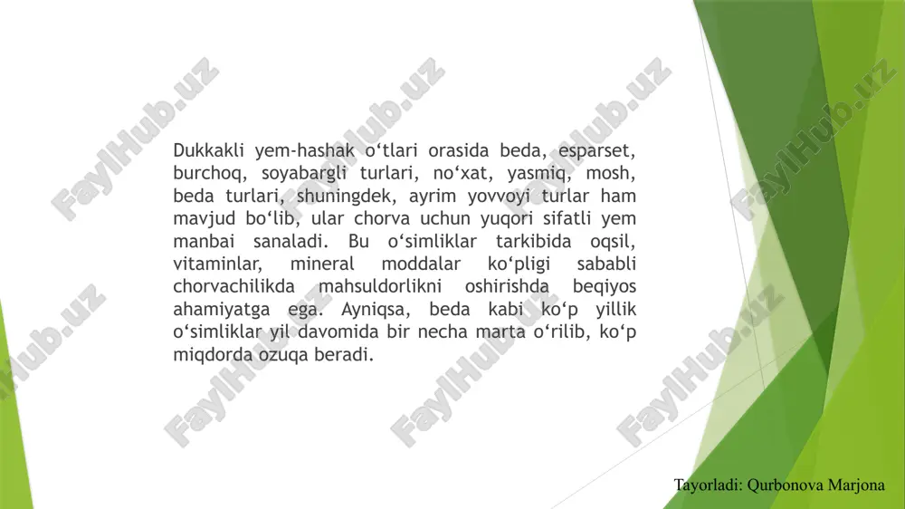 ing ko‘payishida asosiy vosita bo‘lib, yangi ekin maydonlari barpo etishda ishlatiladi. tayorladi: qurbonova marjona beda o‘simligining yem-hashak sifatidagi ahamiyati birinchidan, beda tarkibida oqsil moddalar juda ko‘p. ayniqsa, yosh poya va barglarining oziqaviy qiymati yuqori bo‘lib, ular qoramol, qo‘y, echki, ot va hatto quyonlar uchun ham muhim ozuqa manbai hisoblanadi. beda oqsili tez hazm bo‘ladi va chorva organizmida tez o‘zlashtiriladi. shu sababli sut chorvachiligida bedadan tayyorlangan pichan yoki yashil yem sut mahsuldorligini oshirishda samarali vosita sifatida keng qo‘llaniladi. tayorladi: qurbonova marjona ikkinchidan, beda vitaminlarga ham boy. uning barglari tarkibida a, b, c, d, k vitaminlari mavjud bo‘lib, ular chorva hayvonlarining immunitetini mustahkamlashda, sog‘ligini yaxshilashda muhim ahamiyatga ega. shuningdek, beda mineral moddalar, xususan, kaltsiy, fosfor, temir va magniy kabi elementlarga boy. bu moddalar suyaklar, mushaklar va organizmning umumiy rivojlanishi uchun zarur hisoblanadi. tayorladi: qurbonova marjona uchinchi jihati, beda yem sifatida turli shakllarda ishlatiladi. yoz oylarida uning yashil massasi to‘g‘ridan-to‘g‘ri chorvaga beriladi. kuz …