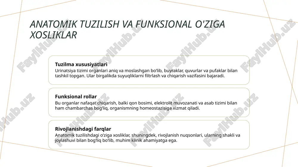 siydik ayiruv a zolarining rivojlanish nuqsonlari.pptx - Page 4