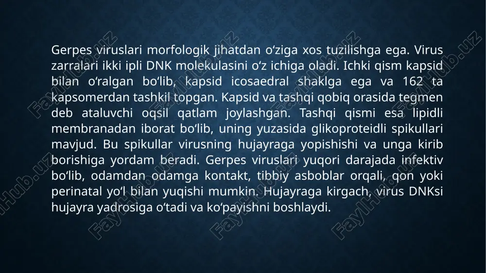 k maqsadda qo‘llash mumkin. parenteral virusli gepatitlarga qarshi profilaktika choralari orasida emlash eng asosiy usul hisoblanadi. gepatit b virusiga qarshi keng qamrovli vaksina mavjud bo‘lib, u tug‘ilgan bolalarga va xavf guruhiga kiruvchi shaxslarga tavsiya etiladi. gepatit d virusi faqat gepatit b bilan birgalikda rivojlanadigan infeksiya bo‘lgani uchun, gepatit b ga qarshi emlash hdv infeksiyasining oldini olishda ham samaralidir. gepatit c virusi uchun hozircha vaksina ishlab chiqilmagan, shuning uchun infeksiyani oldini olish uchun steril tibbiy asbob-uskunalardan foydalanish, xavfli qon bilan aloqa qilmaslik, donor qonni sinchiklab tekshirish va xavfsiz jinsiy aloqani ta’minlash muhim hisoblanadi. gerpes viruslariga qarshi profilaktika uchun birinchi navbatda infeksiyaning tarqalish yo‘llarini to‘liq tushunish muhimdir. virusli zararlanishda og‘iz va jinsiy aloqalar asosiy xavf omillari bo‘lgani uchun, og‘iz va genital gigiyenaga rioya qilish, himoya vositalaridan foydalanish va bemorlarning shaxsiy buyumlaridan foydalanmaslik kerak. immunitetni kuchaytirish, sog‘lom turmush tarzini olib borish, to‘g‘ri ovqatlanish va surunkali stresslardan qochish gerpes infeksiyasini faollashishining oldini olishda muhim …