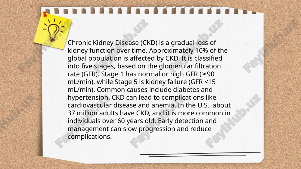 kidney.pptx - Page 4