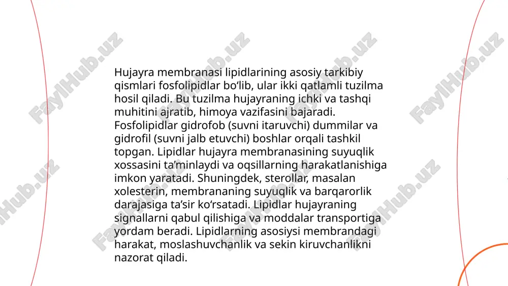 -rnk ning kodonlariga moslashadi, bu esa aminokislotalarning polipeptid zanjiriga qo‘shilishiga olib keladi. bu jarayon energetik jihatdan atp va gtp orqali amalga oshiriladi va oqsil sintezining aniqligini ta'minlaydi. ... t.me/slaydai_bot fermentlar, shuningdek, enzimlar deb ataladigan moddalar, biologik katalizatorlar bo'lib, organizmdagi turli kimyoviy reaktsiyalarni tezlashtiradi. ular moddalar almashinuvi (metabolizm) jarayonlarida hayot uchun zarur ahamiyatga ega. fermentlar oqsil tabiati va maxsus struktura sababli muayyan substratlar bilan o'zaro ta'sirlashadi. ular glyukoza, lipidlar va aminokislotalarni parchalash yoki sintez qilishda ishtirok etadi, masalan, atp energiya ishlab chiqarishda muhimdir. har bir ferment muayyan harorat va ph oralig'ida samarali ishlaydi. fermentlar metabolizm tezligini boshqaruvchi omillar bo'lib, hayvonlar, o'simliklar va mikroorganizmlarda muhim rol o'ynaydi. ... t.me/slaydai_bot 10. vitaminlar va kofermentlar roli vitaminlar tanadagi fermentativ reaktsiyalarni qo'llab-quvvatlaydi va kofermentlar sifatida ishlaydi. masalan, b1 vitamini (tiamin) tiamin pyrofosfat shaklida koferment bo'lib, uglevod almashinuvini boshqaradi. b2 (riboflavin) fad va fmn sifatida energetik reaktsiyalarda ishtirok etadi. b3 (niatsin) nad va nadp kofermentlarini hosil …