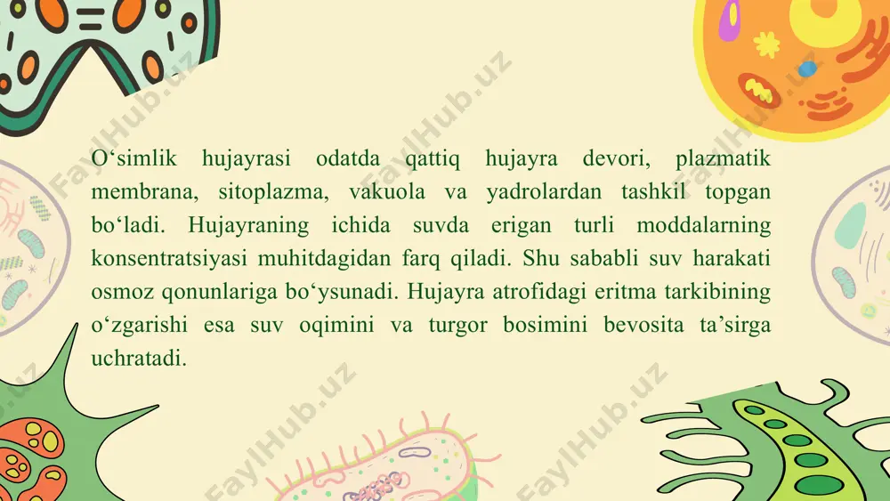 alarida katta ahamiyatga ega. xulosa thank you image9.png image10.svg image11.png image12.svg image1.png image2.svg image3.png image4.svg image5.png image6.svg image7.png image8.svg image13.png