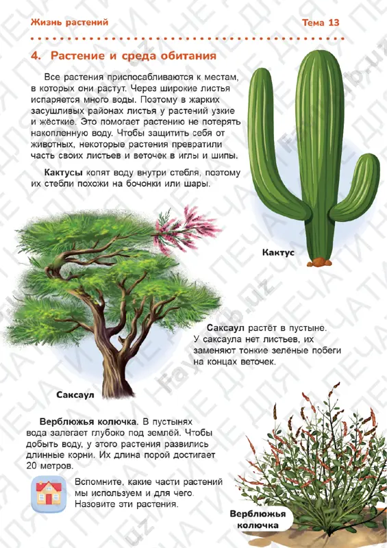 estestvoznanie 3 klass uroki 13-21 - Page 4