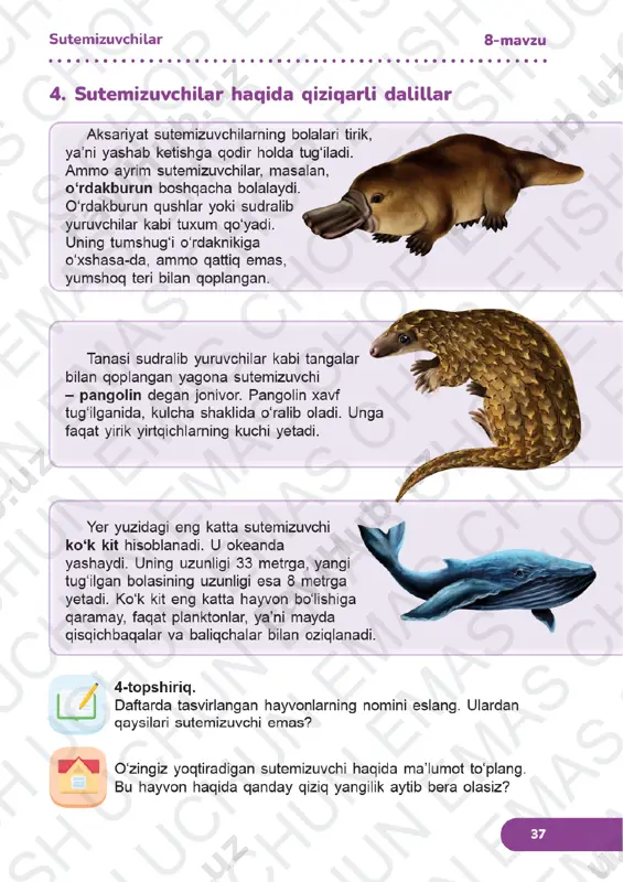 tabiiy fanlar 3-sinf 8-12-darslar - Page 4