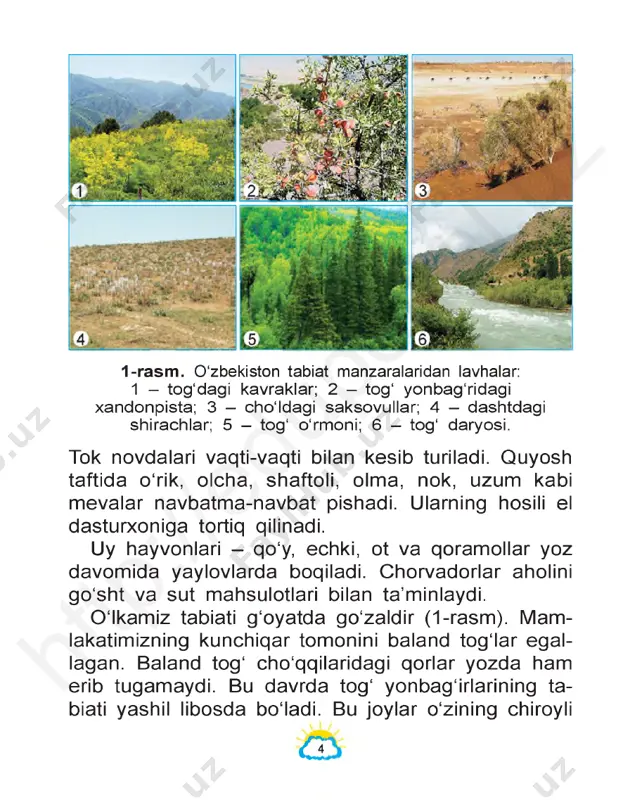lan kuzatgan bo‘lsangiz, yulduzlar rang-barangdir. ayrim yulduzlar oqish yoki ko‘kimtir. ular eng qaynoq yulduzlar hisoblanadi. bunday yulduzlar sirtidagi harorat +10 000 °c dan +100 000 °c gachadir. htt p:/ /ed up ort al. uz yulduzlar orasida sarg‘ishlari ham bor. ular sirtidagi harorat +3 000 °c dan +10 000 °c gacha bo‘ladi. ayrim yulduzlar qizg‘ish tusda bo‘ladi. bunday yulduzlar sirtidagi harorat +2 000 °c dan +3 000 °c gacha bo‘ladi. bulutsiz tunda 3 000 taga ya- qin yulduzni ko‘ra olishimiz mum- kin. ko‘rinadigan yulduzlar ortida ham son-sanoqsiz yulduzlar mavjud. olimlar azaldan yulduzlarni o‘rganishga qiziqqanlar. jumladan, buyuk alloma mirzo ulugbek (1394-1449) yulduzlarni o‘rganish uchun samarqandda maxsus inshoot - rasadxona qurdirgan. rasadxonadagi asboblar yordamida tekshirishlar natijalari asosida yulduzlarning joylashish jadvalini tuzgan. yulduzlar­ ni o‘rganish natijalarini to ‘plab, alohida kitob yozib qoldirgan. ulug‘bekning bu kitobida 1 018 ta yulduz haqida yozilgan. kitobda keltirilgan yulduzlar haqidagi ma’lumotlar hozirda ham katta ahamiyatga ega. quyosh - eng …
