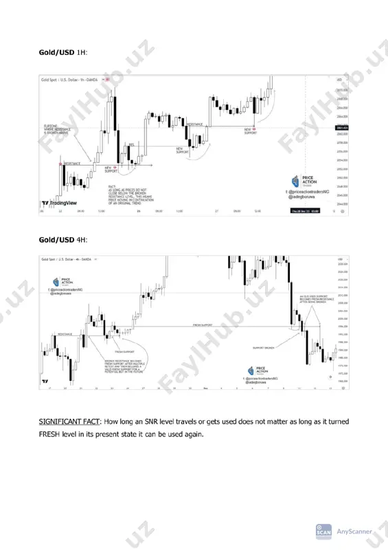 my rare snr course - Page 4