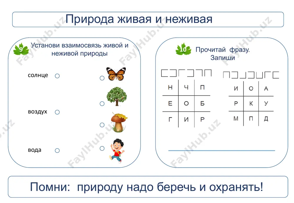 jivaya i nejivaya priroda - Page 4