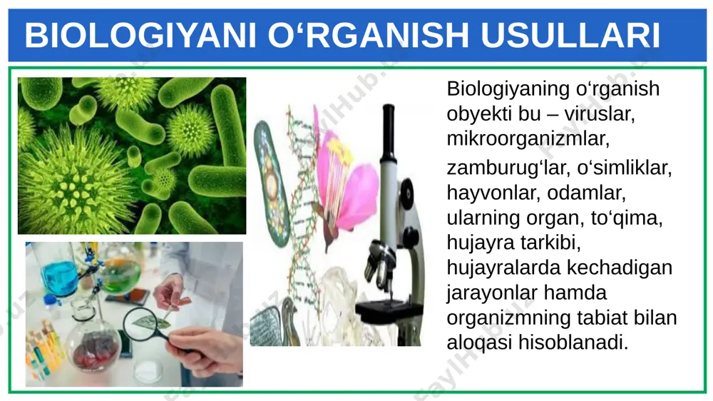 5-sinf botanika 04.biologiyaning o’rganish usullari+ - Page 4