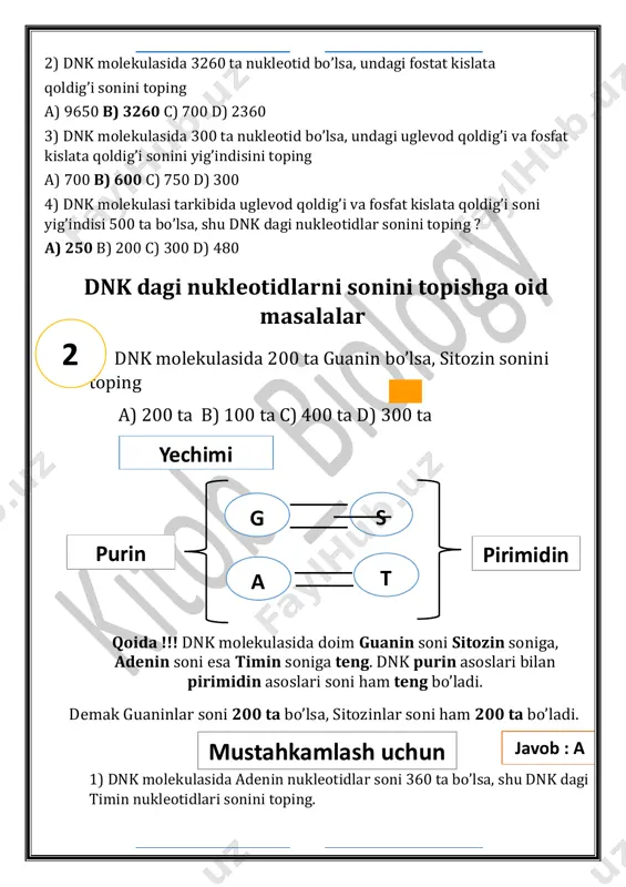 otidlarni 30 % ni tashkil qilsa, jami nukleotidlar sonini toping 20%--------x= 5 yechimi javob : a mustahkamlash uchun : a) 300 b) 1000 c) 600 d) 400 2) dnk molekulasida 250 ta g bo’lib, u jami nukleotidlarni 12.5 % ni tashkil qilsa, jami nukleotidlar sonini toping a) 1000 b) 800 c) 2000 d) 250 3) dnk molekulasida 200 juft a bo’lib, u jami nukleotidlarni 20 % ni tashkil qilsa, jami nukleotidlar sonini toping a) 2000 b) 500 c) 200 d) 250 4) dnk molekulasida 1200 ta g bo’lib, u jami nukleotidlarni 40 % ni tashkil qilsa, jami nukleotidlar sonini toping a) 2000 b) 1600 c) 800 d) 3000 dnk da bir nukleotid sonidan foydalanib boshqa nukleotid sonini topish. dnk da 600 ta adenin bo’lib, u 40 %ni tashkil qiladi. shu dnk dagi guanin sonini toping ? a) 150 ta b) 100 ta c) 600 ta d) 200 ta agar adenin …