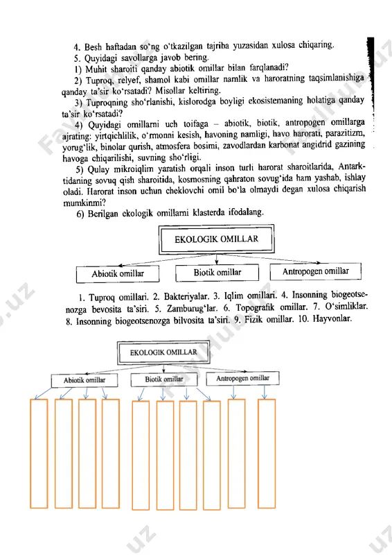 11_sinf_laborayiriya_ishlari - Page 4