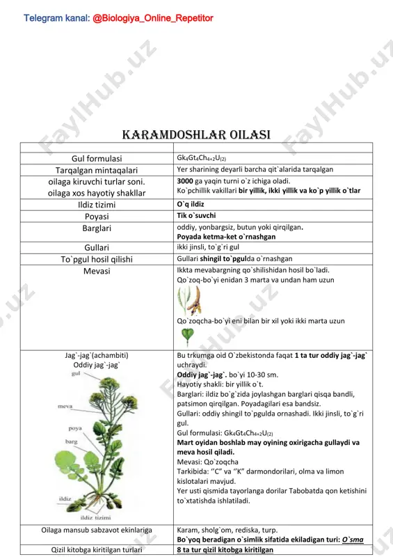 r turkumlariga oid o`simliklar qorako`l qo`ylari va tuyalar uchun to`yimli ozuqadir. cherkez bargi va mevasidan olinadigan dori tibbiyotda qon bosimini pasaytirishda ishlatiladi. itsigak hayotiy shakli: yarim buta zaharli modda- anabazin olinadi. anabazin- zararkunanda hasharotlarga qarshi kurashda qo`laniladi. gulxayridoshlar oilasi gul formulasi gk(3)+(5)gt5ch(cc)u(cc) tarqalgan mintaqalari asosan tropik, qisman mo`tadil iqlimli mintaqalarda tarqalgan oilaga kiruvchi turlar soni. oilaga xos hayotiy shakllar 70 turkumga mansub 900 o`simlik kiradi. hayotiy shakllari: asosan o`tlar, qisman butalar, daraxtlar ildiz tizimi o`q ildiz poyasi asosan tik o`sadi. yerbag`irlab o`suvchi vakili: yerbag`i tugmachagul barglari barglari: oddiy, yonbargli, uzun bandli, panjasimon tomirli, butun yoki o`yigan, ko`pincha panjasimon gullari gullari: to`g`ri, ikki jinsli mevasi 3-5 uyli ko`sak meva juda ko`p bir urug`li mevachalardan tashkil topgan yig`ma meva tugmachagul turkum vakilli: yerbag`ir tugmachagul bo`yi: 10-40 sm hayotiy shakli: bir yillik begona o`t uni sug`oriladigan yerlarda, ariqlar bo`yida va ekinlar orasida uchratish mumkin. poyasi: sershox, yerbag`irlab yoki yonboshlab o`sadi barglari: uzun bandli, …