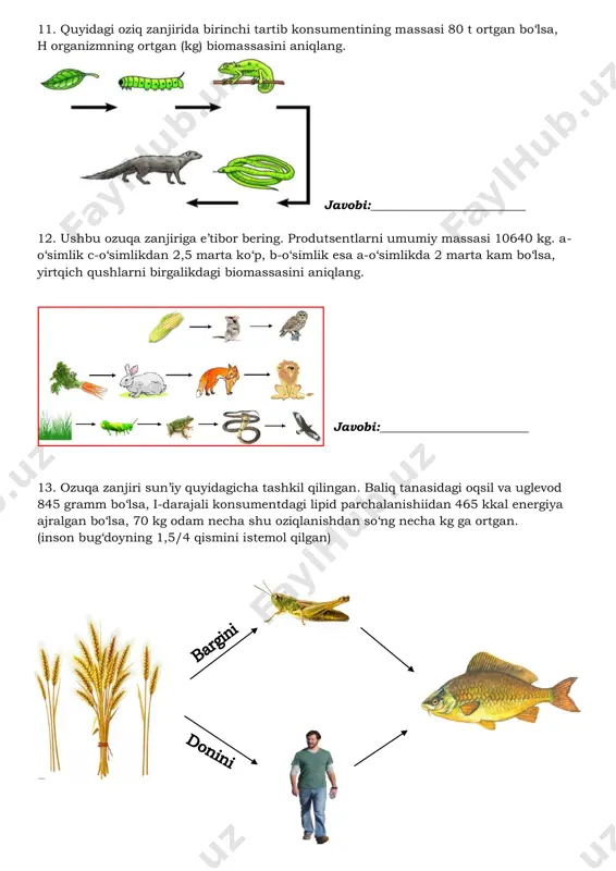 iqlang. a) 2440 b) 22022 c) 2222 d) 2242 25. ekologik piramidani: bug’doy – chigirtka – kaltakesak – lochin tashkil etadi. shu ekologik piramidaning umumiy biomassasi 14443 kg ni tashkil etsa, u holda fitofaglarni is’temol qilgan konsumentning 40 % qismini og’irligini aniqlang. a) 52 kg b) 5200 g c) 5,2 t d) 0,52 t 26. ekologik piramidani: bug’doy – chigirtka – kaltakesak – lochin tashkil etadi. shu ekologik piramidaning umumiy biomassasi 19998 kg ni tashkil etsa, u holda produtsentlarning 90 % qismini og’irligini aniqlang. a) 18,3 t b) 18 t c) 16,2 t d) 1,62 t 27. ekologik piramidani: bug’doy – chigirtka – kaltakesak – lochin tashkil etadi. shu ekologik piramidaning umumiy biomassasi 6666 kg ni tashkil etsa, u holda tuproqdagi maxsus ko’zachaga tuxum qo’yadigan organizmlarning 50 % qismini og’irligini aniqlang. a) 30 kg b) 30 t c) 3 t d) 0,3 t 28. ekologik piramida qoidasidan foydalanib, dengiz ekosistemasida …
