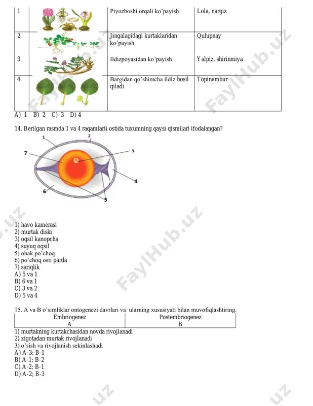 7-sinf bialogiya 3 - Page 4