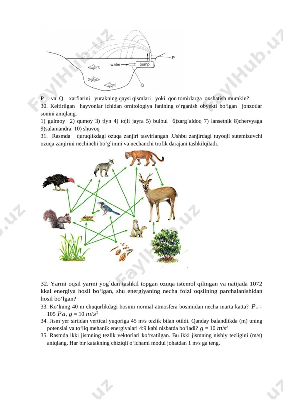 va 76 ta elektron bo‘lsa, uning atom massasini (g) aniqlang. 29. pastda ko‘rsatilgan diagrammada nasos bilan ishlaydigan favvorali hovuz ifodalangan. xovuzdagi ko‘rsatilgan baliqlarga favvora xavodagi kislorodni olib keladi. agar ushbu tuzilmani inson qon aylanish tizimiga oxshatsak, nasosni (pump) yurakka qiyoslash mumkin. [image: ] p va q xarflarini yurakning qaysi qismlari yoki qon tomirlarga oxshatish mumkin? 30. keltirilgan hayvonlar ichidan ornitologiya fanining o‘rganish obyekti bo‘lgan jonzotlar sonini aniqlang. 1) gulmoy 2) qumoy 3) tiyn 4) tojli jayra 5) bulbul 6)zarg`aldoq 7) lansetnik 8)chervyaga 9)salamandra 10) shuvoq 31. rasmda quruqlikdagi ozuqa zanjiri tasvirlangan .ushbu zanjirdagi tuyoqli sutemizuvchi ozuqa zanjirini nechinchi bo‘g`inini va nechanchi trofik darajani tashkilqiladi. [image: ] 32. yarmi oqsil yarmi yog`dan tashkil topgan ozuqa istemol qilingan va natijada 1072 kkal energiya hosil bo‘lgan, shu energiyaning necha foizi oqsilning parchalanishidan hosil bo‘lgan? 33. ko‘lning 40 m chuqurlikdagi bosimi normal atmosfera bosimidan necha marta katta? 𝑃0 = 105 𝑃𝑎, 𝑔 = 10 …