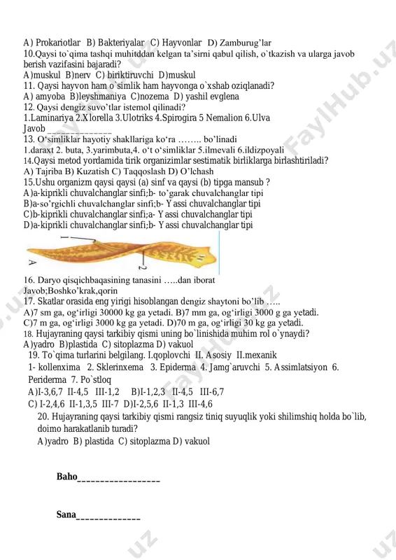 hayvonlarni aniqlang 1. 2. 3. 4. 5. 6. a) 1,3,5 b) 1,5 c) 2,4,6 d) 3,6 15.odam va boshqa sutemizuvchilar uchun nerv sistemasining qaysi tipi xos? a) 1 b)2 c)3 d)4 16.quyidagi organga taaluqli fikrlarni belgilang. 1. qorin bo‘shlig‘ida joylashgan bo’lib, o‘t suyuqligi ishlab chiqaradi ;2. ishlab chiqargan o’t suyuqligi ovqat tarkibidagi yog‘larni hazm bo‘lishida qatnashadi.3. organizmni turli xil zaharli moddalardan himoya qiladi.4. qonni filtrlab, zaharli moddalardan tozalaydi.5. ishlab chiqargan fermentlar ichakka quyilib, oqsillar va uglevodlarni parchalaydi. a)1,2,3,5 b)2,3,4, 5 c)3,4,5 d)1,2,3,4 17. tirik organizmlarda yashab, ular hisobiga oziqlanadigan hayvonlarni belgilang. 1. 2. 3. 4. 5. 6. 7. 8. a)1,2,4,5 b)2,3,7,8 c)4,6,7,8 d)2,5,7,8 18.quyidagi oziq to`rida o`txo`rlar, qaysi raqamlar bilan belgilangan? a)1,2,5,6 b)2,3,4,5 c)5,6,7,8 d) 1,4,8,9 sana___________ nazorat ishi-5 nazorat shakli. jadval va diagramma bilan ishlash 1.fotosintez va nafas olish jarayonlarini taqqoslang (venn diagrammasi) fotosintez o`xshashligi nafas olish 2. to`g`ri yoki noto`g`riligini aniqlang. 1. chigirtka traxeya yordamida nafas oladi. 2. …