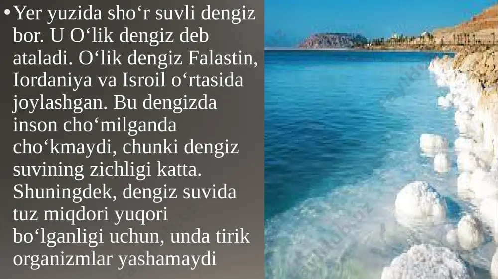 6-sinf. sciens. jismlarning suzish shartlari - Page 4