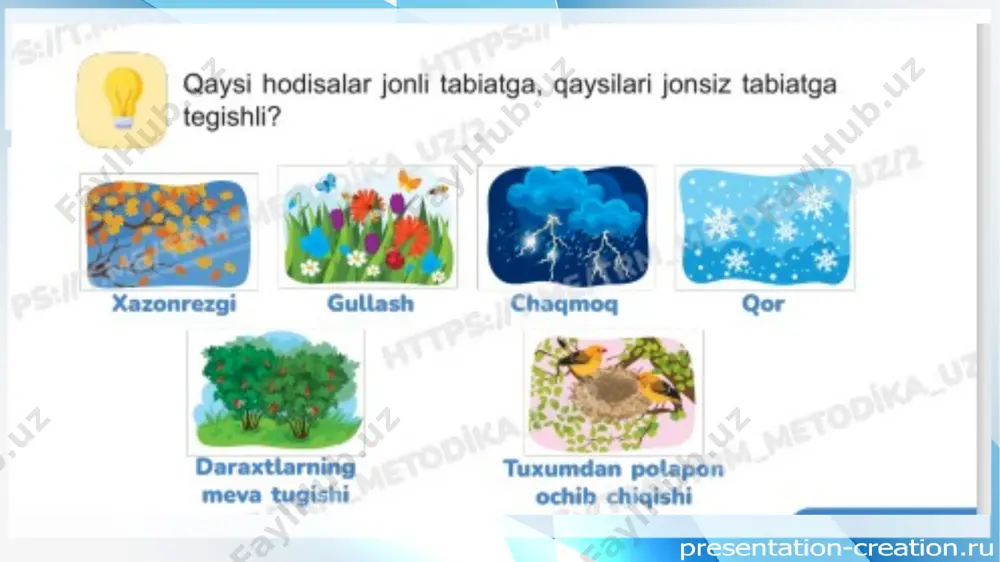 1-sinf tabiiy fan tabiat hodisalari - Page 4