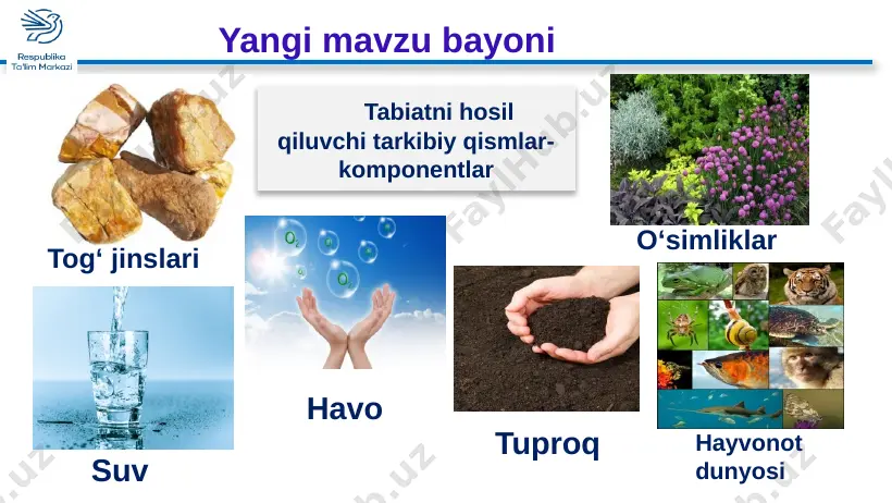 5-sinf geografiya 32.tabiat zonalari+ - Page 4