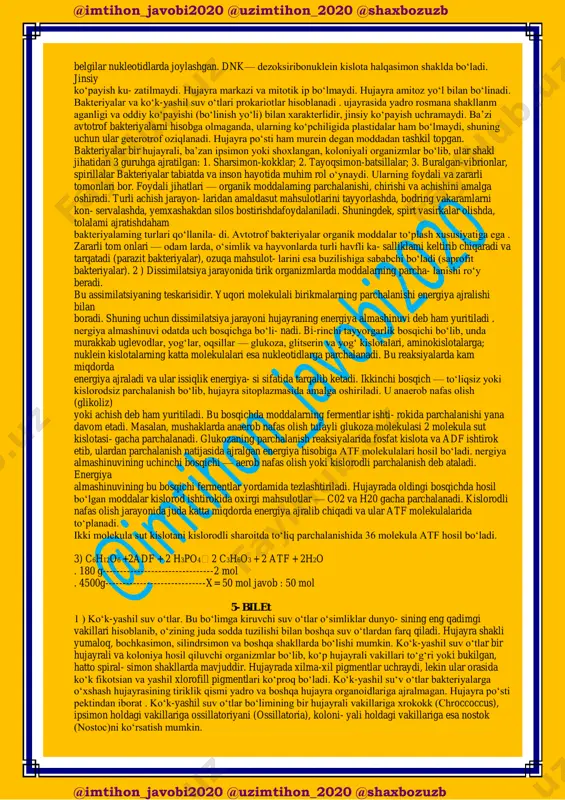 avf soladi. ular bir nechayuqumli kasalliklar (gripp, quturish, sariq kasalligi, ensefalit, qizilcha va boshqalar)ning qo‘zg‘atuvchilari hisoblanadi. viruslar faqat hujayralarda yashaydi. ular hujayra ichi parazitlaridir . 2 ) moddalar almashinuvi tirik organizmning yashashi, o‘sishi, hayot faoliyati, ko‘payishi va tashqi muhit bilan doimo aloqada bo‘lishini ta’minlaydi. bu esa tirik organizmlarning o‘zini-o‘zi yangilashiga, o‘ziga o‘xshash nasi qoldirishiga olib keladi, ularning yashashi uchun zarur shart hisoblanadi. 3 ) akvarium devori yoki boshqa ko‘lmak suv tubidagi suv o‘tlari hosil qilgan yupqa pardani nina yordamida olinadi. undan preparat tayyorlab mikroskopning avval kichik, so‘ngra katta obyektivlarida kuzatiladi. yupqa parda ingichka ko‘p hujayrali iplardan tashkil topganiga e’tibor beriladi. ipchalar ko‘kyashil rangda bo‘lib ularning tebranayotganligini kichik va katta obyektivlarda kuzatiladi. katta obyektivda har bir ipcha bir xildagi mayda yadrosiz va xloroplastsiz hujayralardan tuzilganligiga e’tibor beriladi. hujayraning o‘rta qismi rangsiz va chekkalari esa pigmentlardan iborat biroz to‘qroq rangda ekanligini kuzatiladi. 4 – bilet 1 ) prokariotlar — yadrosi to‘liq shakllanmagan …