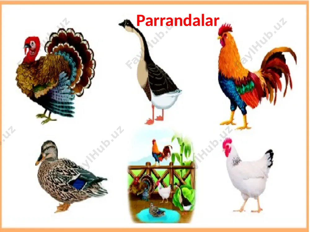 to'plamlar . venn diagrammasi - Page 4