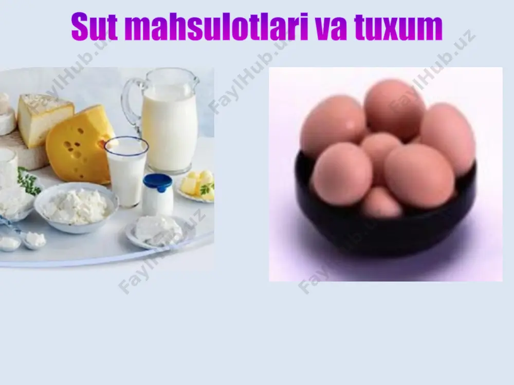 1-sinf tabiiy fan 26-dars - Page 4